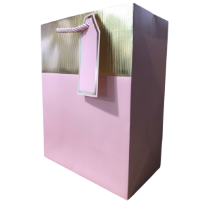 SACOLA DE PRESENTE 23X18X10CM - FJ90146