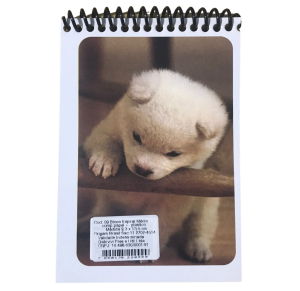 BLOCO ANOTAÇÃO ESPIRAL 13,5X9,3CM - REF 09