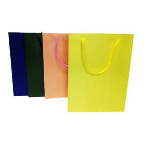 SACOLA DE PRESENTE 24X18X8CM - SLP-BC-S