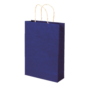 SACOLA KRAFT AZUL BIC 18X09X24 C/10 UNID