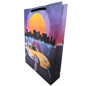 SACOLA DE PRESENTE 22X16,2X4,5CM  SORTIDA - REF 56